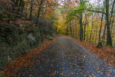 Autumn Getaways: 5 perfect destinations to rediscover Portugal.