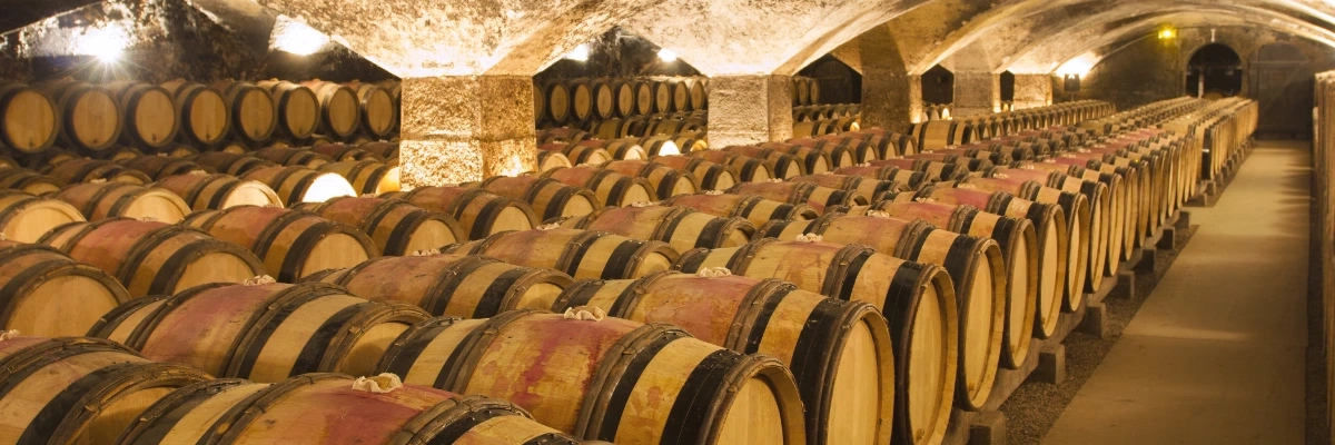 Enoturismo no Alentejo: um roteiro de 3 dias entre vinhos, História e paisagens.