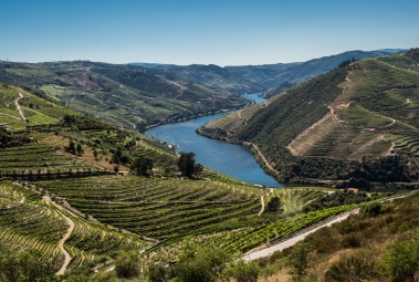 Enoturismo no Douro: dicas para uma experiência completa pela região.