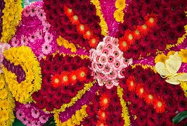 Festa da Flor na Madeira: a desculpa perfeita para visitar a ilha na primavera.