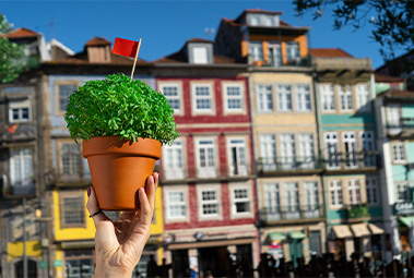 São João in Porto: complete guide to the biggest folk festival in the North.