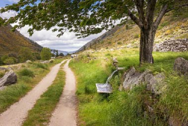 Serra da Estrela no verão: Natureza, autenticidade e frescura nas alturas.