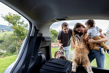 Easter on the road: fewer queues, more freedom with Guerin