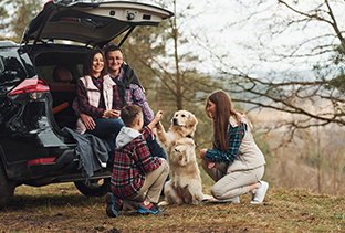 Travelling with animals safely | Guerin