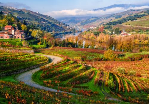 Views over the Douro Valley in autumn