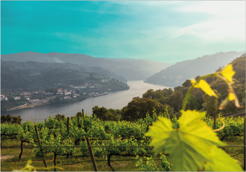 Baião vista do rio Douro, Portugal