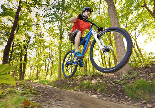 mountain biking in forest trail