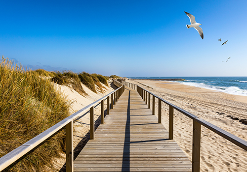 Costa Nova aveiro over sand praia da Barra