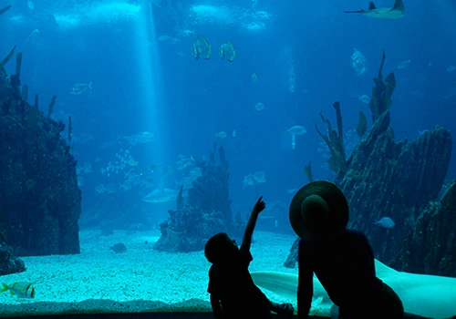 Mother and son at Lisbon Oceanarium on a rainy day