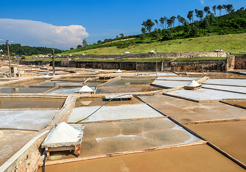 salinas de Rio Maior