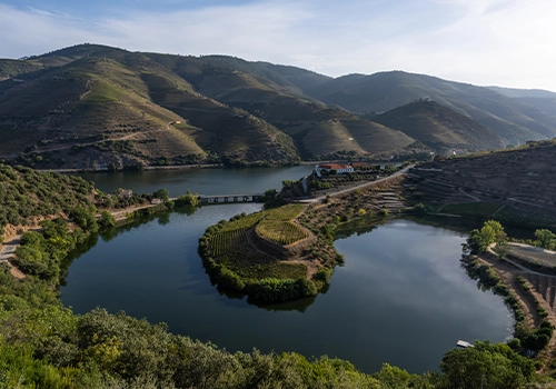 Road along the Douro River with terraced vineyards in the Douro Valley.