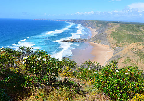 ondas costa vicentina