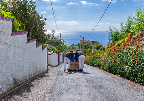 traditional Madeiran basket cars