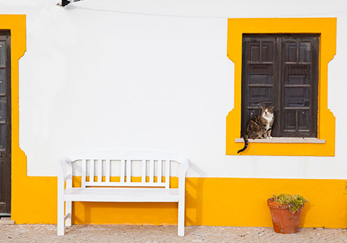 casa típica Peniche