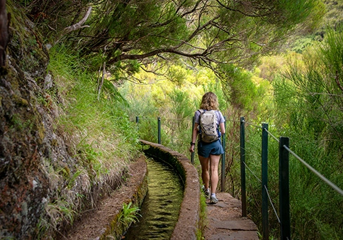 Levada das 25 fontes na ilha da Madeira