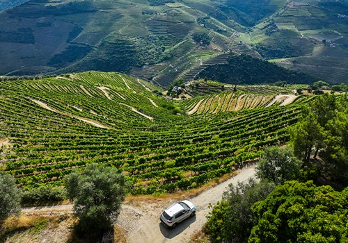 Car driving through the Douro Valley vineyards in Portugal, scenic road trip landscape.