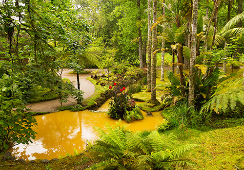 Lagoon Congro São Miguel Island Azores