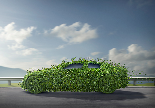 car covered in growing plants 