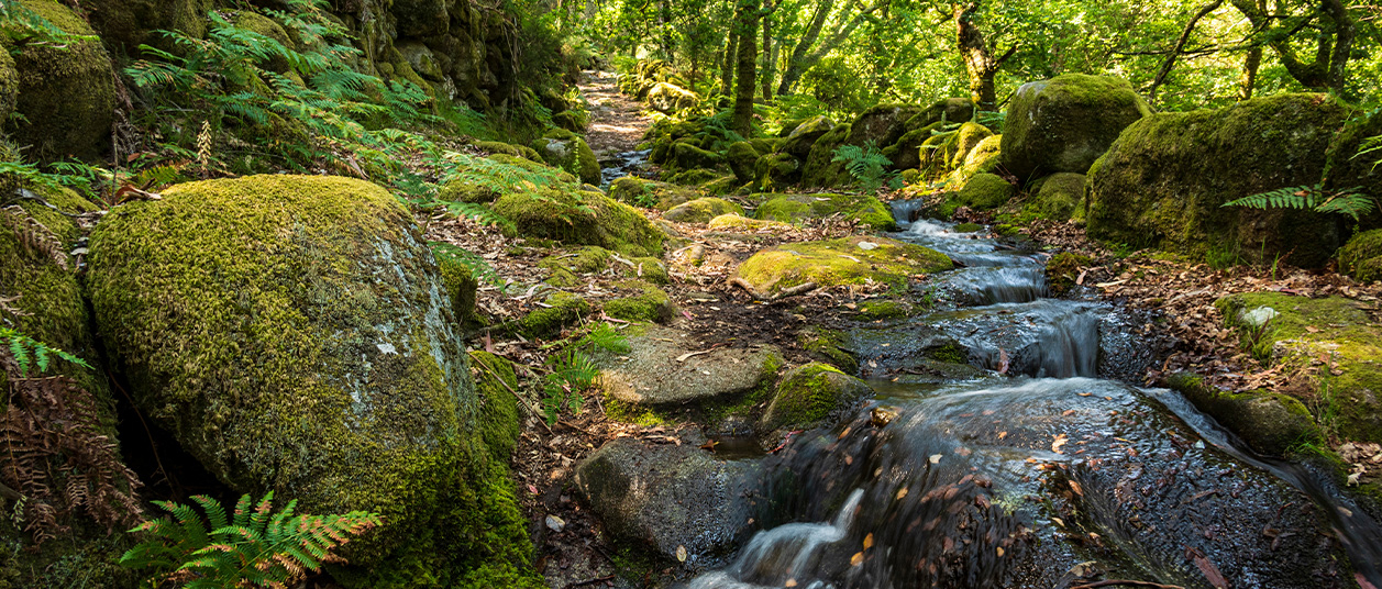 Visitar o Gerês: As melhores dicas para a sua viagem