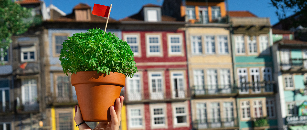 Divirta-se com as 10 melhores festas de verão em Portugal