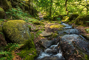 Visitar o Gerês: As melhores dicas para a sua viagem