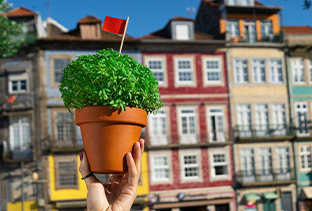 Divirta-se com as 10 melhores festas de verão em Portugal